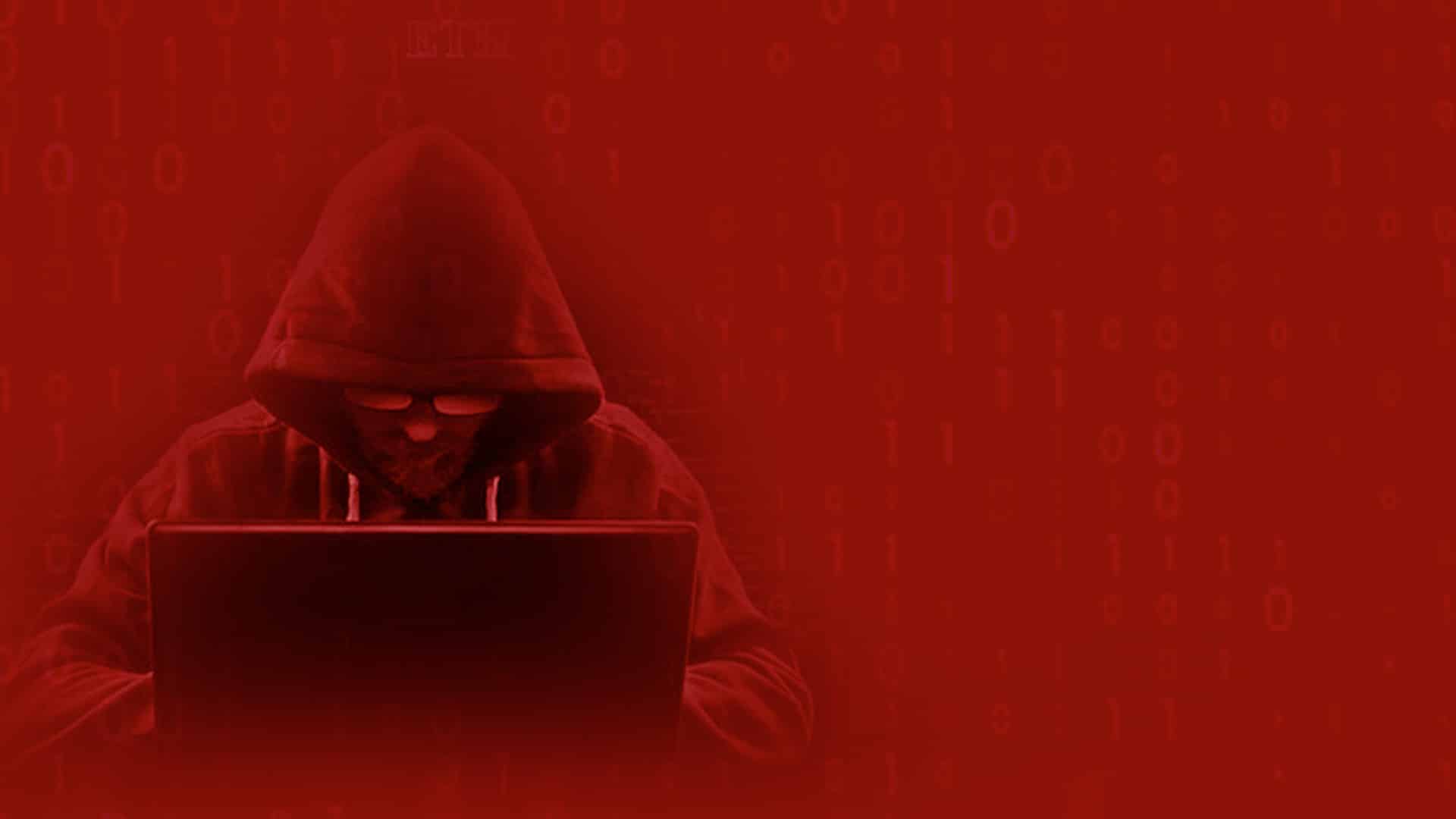 TNTROYAL Review – Unmasking the Truth