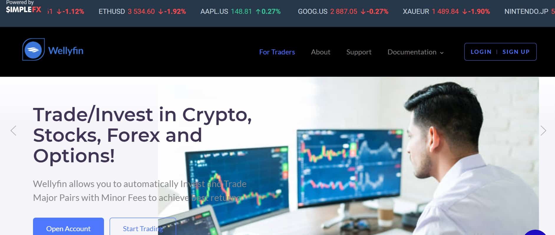 Wellyfin website