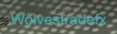 Wolvestradefx logo