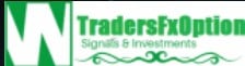 Traders Fx Option logo